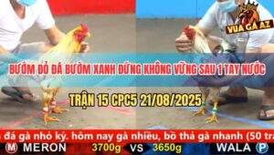 Trận 15 CPC5 21/8/2025 - Bướm Đỏ Đá Chân Nào Bướm Xanh Ra Tiền Chân Đó