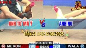 Trận 21 CPC2 6/8/2025 - Gà Điều Anh Tư Mã Ý Đá Úa Hiệu Anh Nu Tai Biến