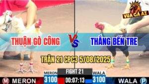 Trận 21 CPC3 5/8/2025 - Gà Chuối Anh Thắng Bến Tre Đâm Như Máy Khâu