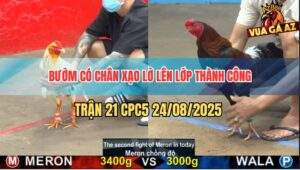Trận 21 CPC5 24/8/2025 - Bướm Có Chân Xạo Lờ Lên Lớp Thành Công