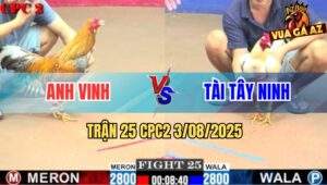 Trận 25 CPC2 3/8/2025 - Gà Cú Anh Vinh Bắt Bướm Trong Tay Nước Đầu