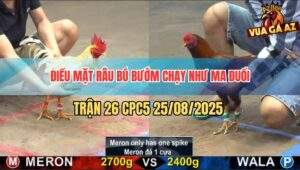 Trận 26 CPC5 25/8/2025 - Anh Thắng Chấp Ngông Bị Đá Chạy Như Ma Đuổi