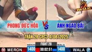Trận 28 CPC3 4/8/2025 - Anh Phong Đức Hòa Và Anh Ngao Bái