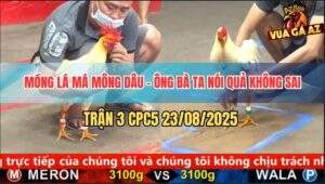 Trận 3 CPC5 23/8/2025 - Bướm Mồng Lá Ra Chân Nào Là Tiền Về Chân Đó