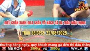 Trận 33 CPC5 22/8/2025 - Điều Chân Xanh May Độ Có Chân Cứu Chủ
