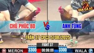Trận 37 CPC3 5/8/2025 - Cánh Gà Chú Phúc Đúng Xui Vừa Vô Đã Bay Bồ