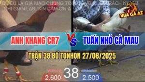 Trận 38 Bồ TonHon 27/8/2025 - Anh Khang CR7 Và Anh Tuấn Nhỏ Cà Mau
