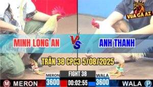 Trận 38 CPC3 5/8/2025 - Chuối Cọp Má Minh Đâm Gà Úa Đứng Không Vững