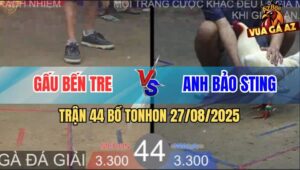 Trận 44 Bồ TonHon 27/8/2025 - Anh Bảo Sting Và Anh Gấu Bến Tre