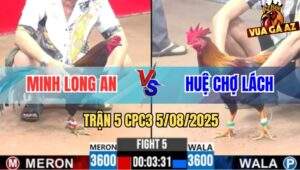 Trận 5 CPC3 5/8/2025 - Má Minh So Tài Bất Phân Thắng Bại Với Anh Huệ