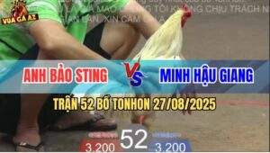 Trận 52 Bồ TonHon 27/8/2025 - Anh Bảo Sting Và Anh Minh Hậu Giang