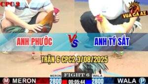 Trận 6 CPC2 3/8/2025 - Gà Điều Anh Phước Gục Ngã Sau 1 Chân Chí Mạng