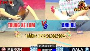 Trận 6 CPC2 6/8/2025 - Điều Sút Đúng 1 Chân Anh Nu Xách Gà Ra Luôn