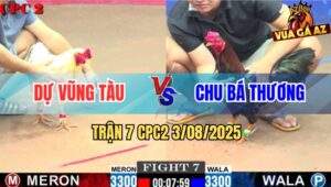 Trận 7 CPC2 3/8/2025 - Anh Dự Vũng Tàu Và Anh Chu Bá Thương
