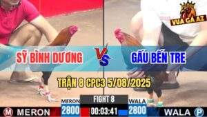 Trận 8 CPC3 5/8/2025 - Anh Sỹ Bình Dương Và Anh Gấu Bến Tre