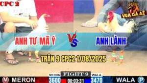 Trận 9 CPC2 1/8/2025 - Anh Tư Mã Ý Đụng Độ Anh Lành Vũng Tàu