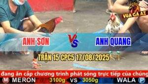 Trận 15 CPC5 Ngày 17/8/2025