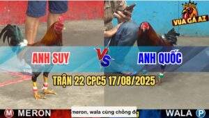 Trận 22 CPC5 Ngày 17/8/2025