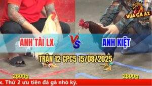 Trận 12 CPC5 Ngày 15/08/2025