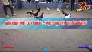 Bát Kê Tranh Hùng - Chiến Trường Sinh Tử, Sống Sót Hoặc Bị Loại