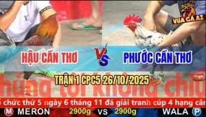 Trận 1 CPC5 26/10/2025 - Anh Hậu Cần Thơ Và Anh Phước Cần Thơ