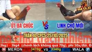 Trận 10 CPC5 25/10/2025 - Anh Út Ba Chúc Và Anh Linh Chợ Mới