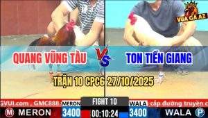 Trận 10 CPC6 27/10/2025 - Gà Úa Anh Ton Dính Cây Hiểm Chạy Kêu Miệng