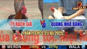 Trận 11 CPC5 21/10/2025 - Anh Tý Rạch Giá Và Anh Quang Nhà Bàng