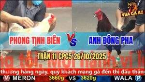 Trận 11 CPC5 26/10/2025 - Anh Phong Tịnh Biên Và Anh Đông Pha