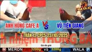 Trận 12 CPC5 23/10/2025 - Anh Hùng Cafe A Gặp Anh Vũ Tiền Giang