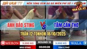 Trận 12 TonHon 18/10/2025 - Anh Bảo Sting Quá Đen Gãy 7 Trận Liên Tiếp