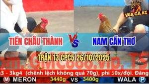 Trận 13 CPC5 26/10/2025 - Anh Tiền Châu Thành Và Anh Nam Cần Thơ