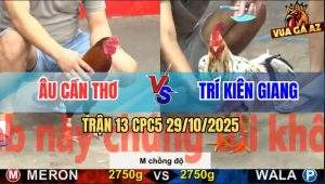 Trận 13 CPC5 29/10/2025 - Anh Âu Cần Thơ Và Anh Trí Kiên Giang