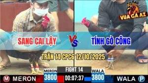 Trận 14 CPC6 12/10/2025 - Điều Xanh Đá Bát 1 Điều Bông Ra Máu Lỏng