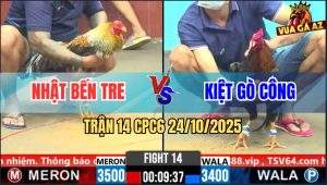 Trận 14 CPC6 24/10/2025 - Gà Que Tang Xui Dính Chân Phản Gãy Giò