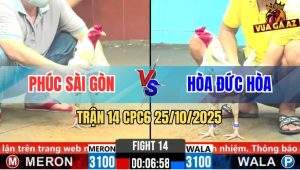 Trận 14 CPC6 26/10/2025 - 2 Con Cắn Đến Phút 90 Bướm Đỏ Ngấm Đòn Gục