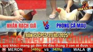 Trận 15 CPC5 31/10/2025 - Anh Nhàn Rạch Giá Và Anh Phong Cà Mau