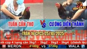 Trận 16 CPC5 25/10/2025 - Anh Tuấn Cần Thơ Và Anh Cường Diễn Thành