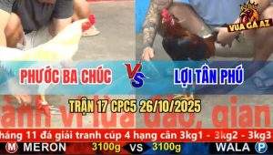 Trận 17 CPC5 26/10/2025 - Anh Phước Ba Chúc Và Anh Lợi Tân Phú