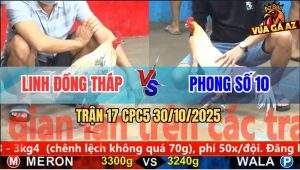 Trận 17 CPC5 30/10/2025 - Anh Linh Đồng Tháp Và Anh Phong Số 10