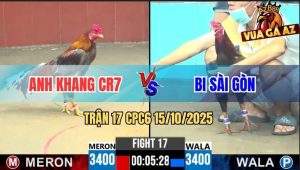Trận 17 CPC6 15/10/2025 - Gà Xám Anh Khang Đá 3 Chân Xanh Ói Òng Ọc