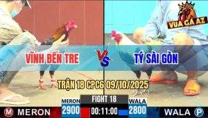 Trận 18 CPC6 9/10/2025 - Gà Điều Siết Chuối Đen Anh Tý Chạy Trối Chết