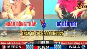 Trận 18 CPC6 28/10/2025 - Gà Que Anh Bé Canh Bối Chân Bướm Lật Xe