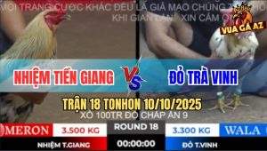Trận 18 TonHon 10/10/2025 - Anh Nhiệm Tiền Giang Và Anh Đỏ Trà Vinh