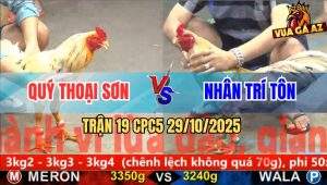 Trận 19 CPC5 29/10/2025 - Anh Quý Thoại Sơn Và Anh Nhân Trí Tôn