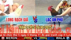 Trận 2 CPC5 26/10/2025 - Anh Long Rạch Giá Và Anh Lạc An Phú