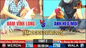 Trận 2 CPC6 24/10/2025 - Gà Bướm Dắt Tang Vô Trong Gấp Ăn Bị Phản 
