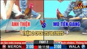 Trận 2 CPC6 25/10/2025 - Xanh Chân Xanh Canh Nạp Cựa Như Sam Sít