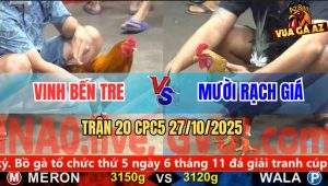 Trận 20 CPC5 27/10/2025 - Anh Vinh Bến Tre Và Anh Mười Rạch Giá