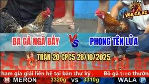 Trận 20 CPC5 28/10/2025 - Anh Ba Gà Ngã Bảy Và Anh Phong Tên Lửa